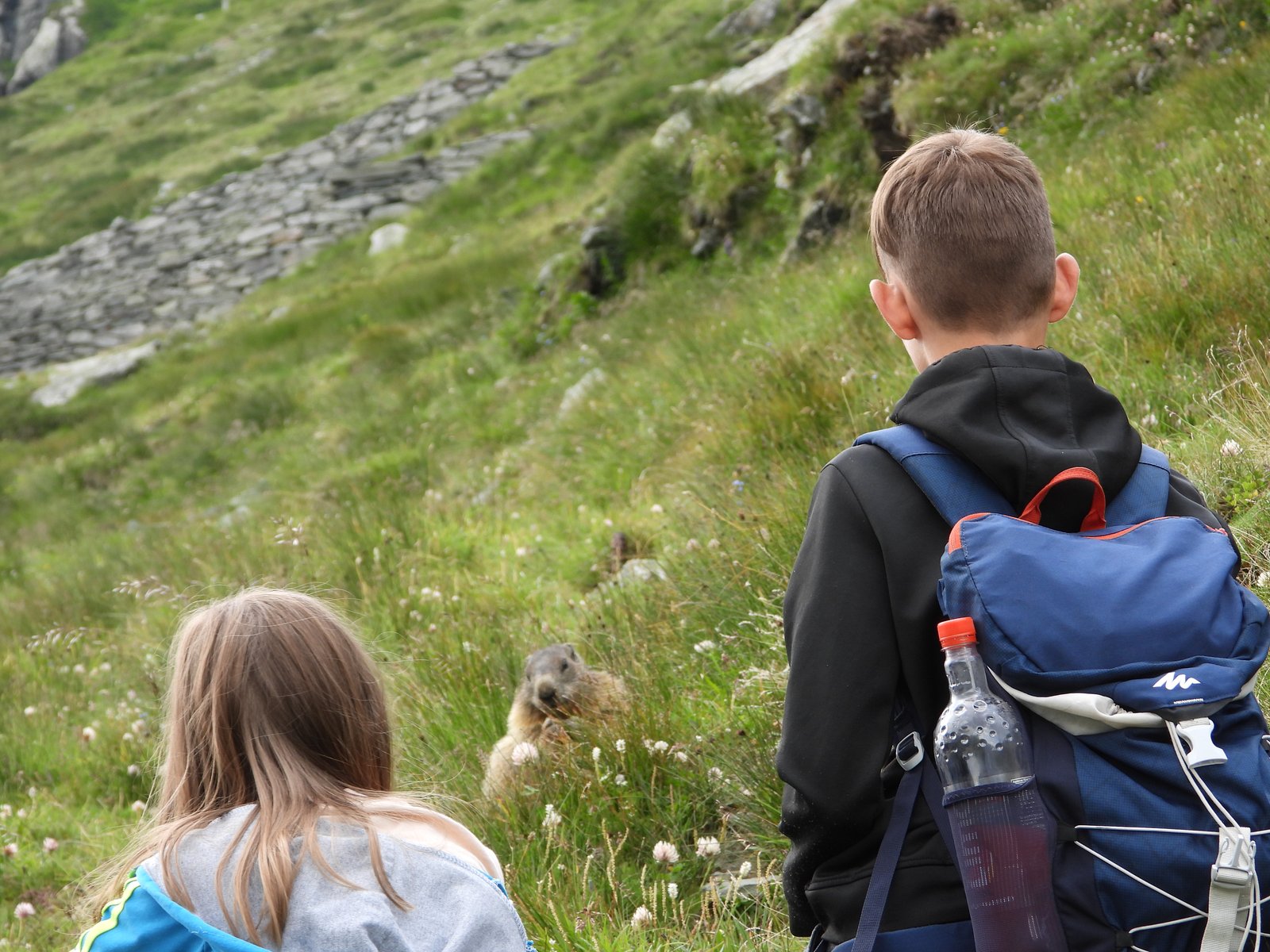 Unsere Kinder beobachten die Natur — Familie Zauberwasser auf Wanderung