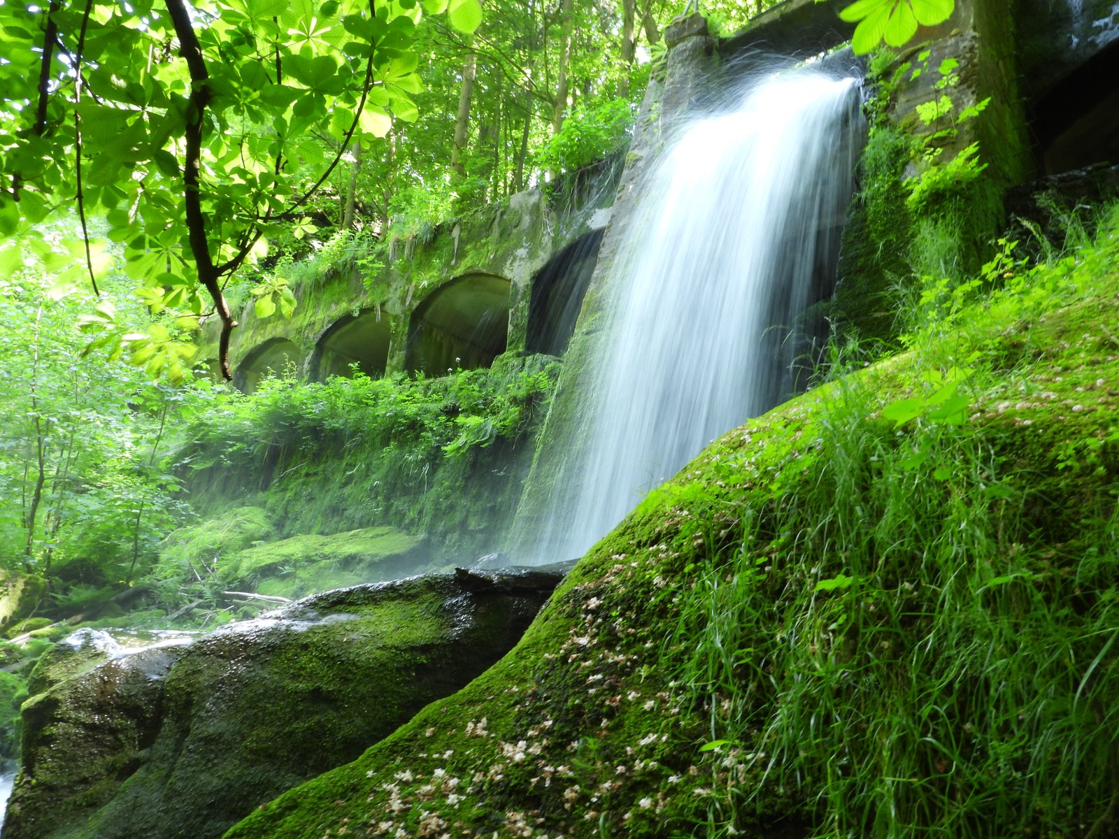 Wasserfall im Wald — Zauberwasser zeigt die Kraft natürlichen Wassers